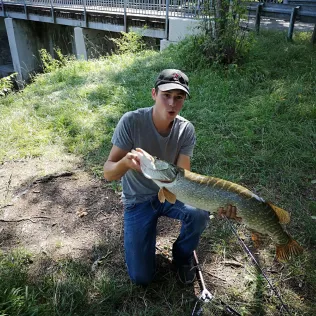 Illerkanal (Kirchdorf/Iller)