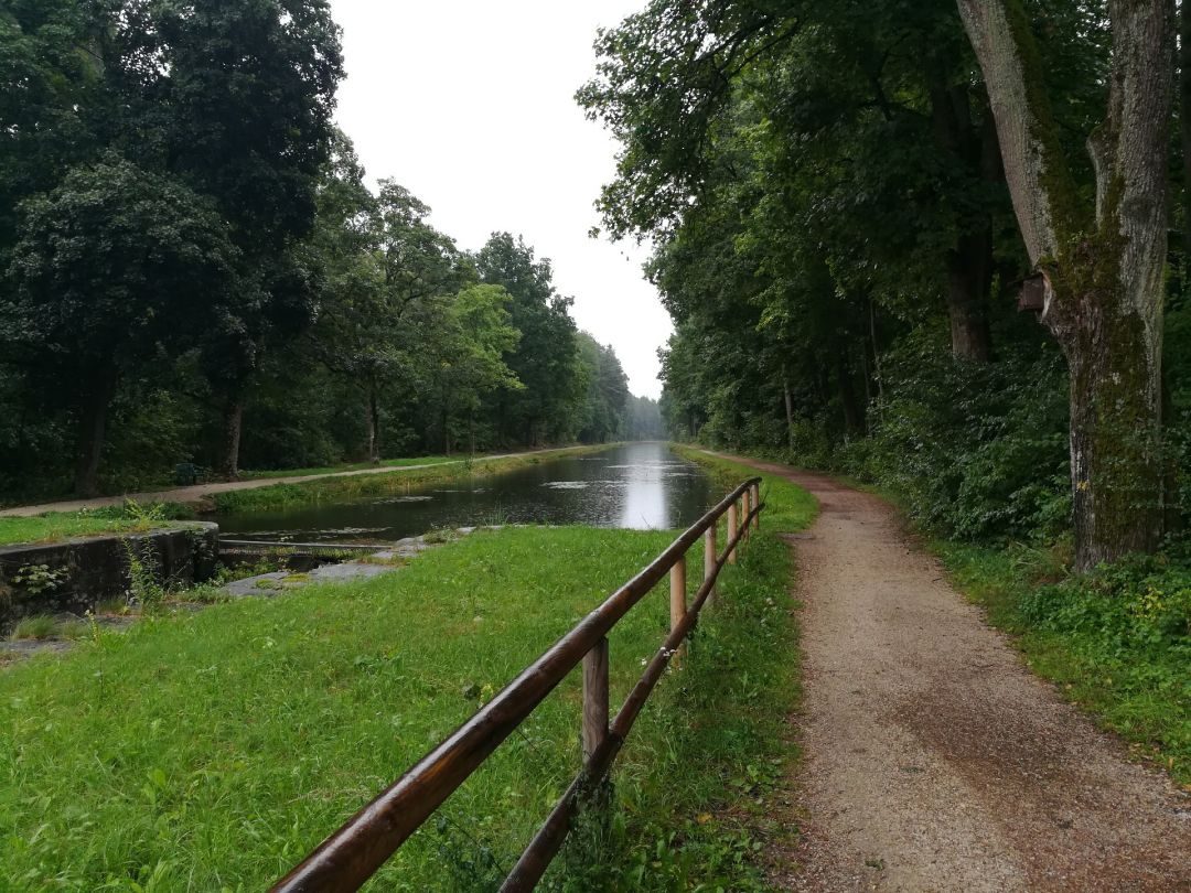 Ludwig-Donau-Main-Kanal (Nürnberg) angeln