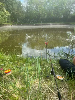 Rampitzer Teich