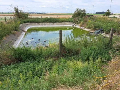 Steinbruch Wellen