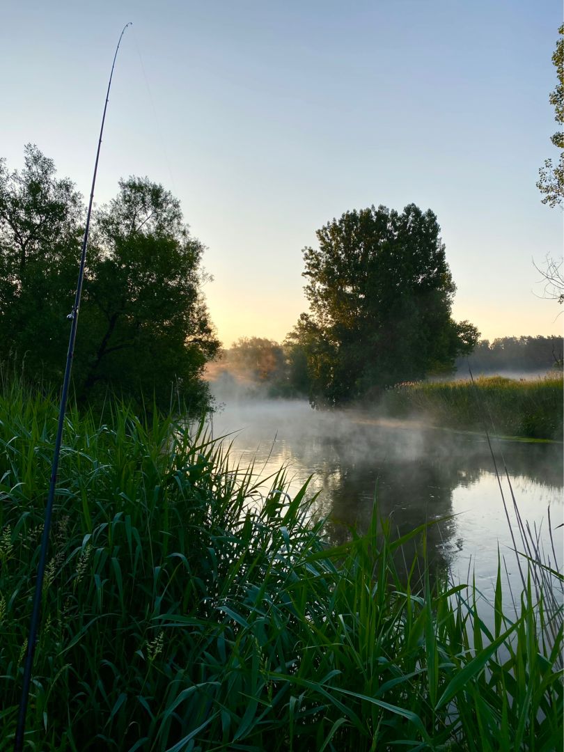 Werra (Gerstungen) angeln