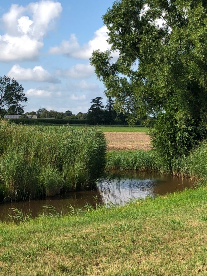 Aue (Wingst-Bülkau) angeln