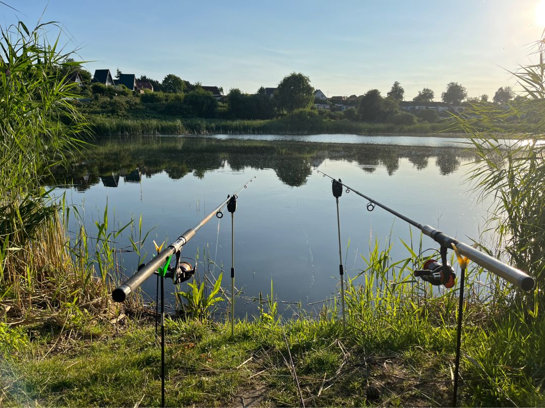 Koppelteich Hinterwendorf angeln