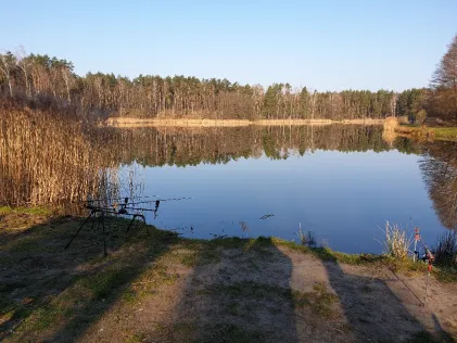 See der Freundschaft (Königsbrück)