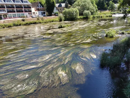 Saale (Ziegenrück)
