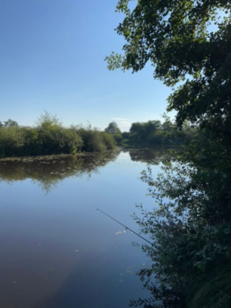 Altwasser (Roding) angeln
