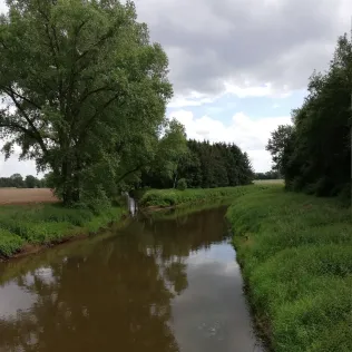 Wrau (Quakenbrück)