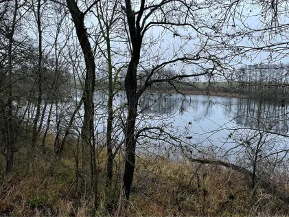 Klarer See (Grünow)