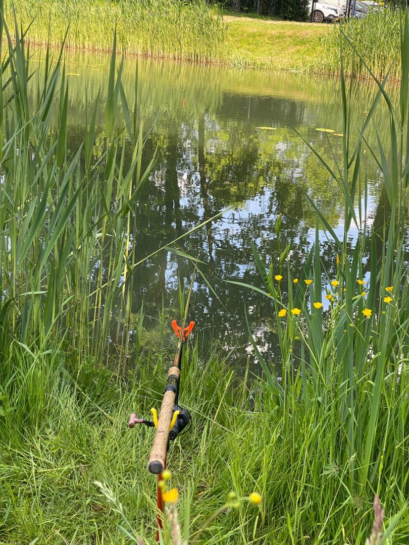 Visvijver Camping de Leistert angeln