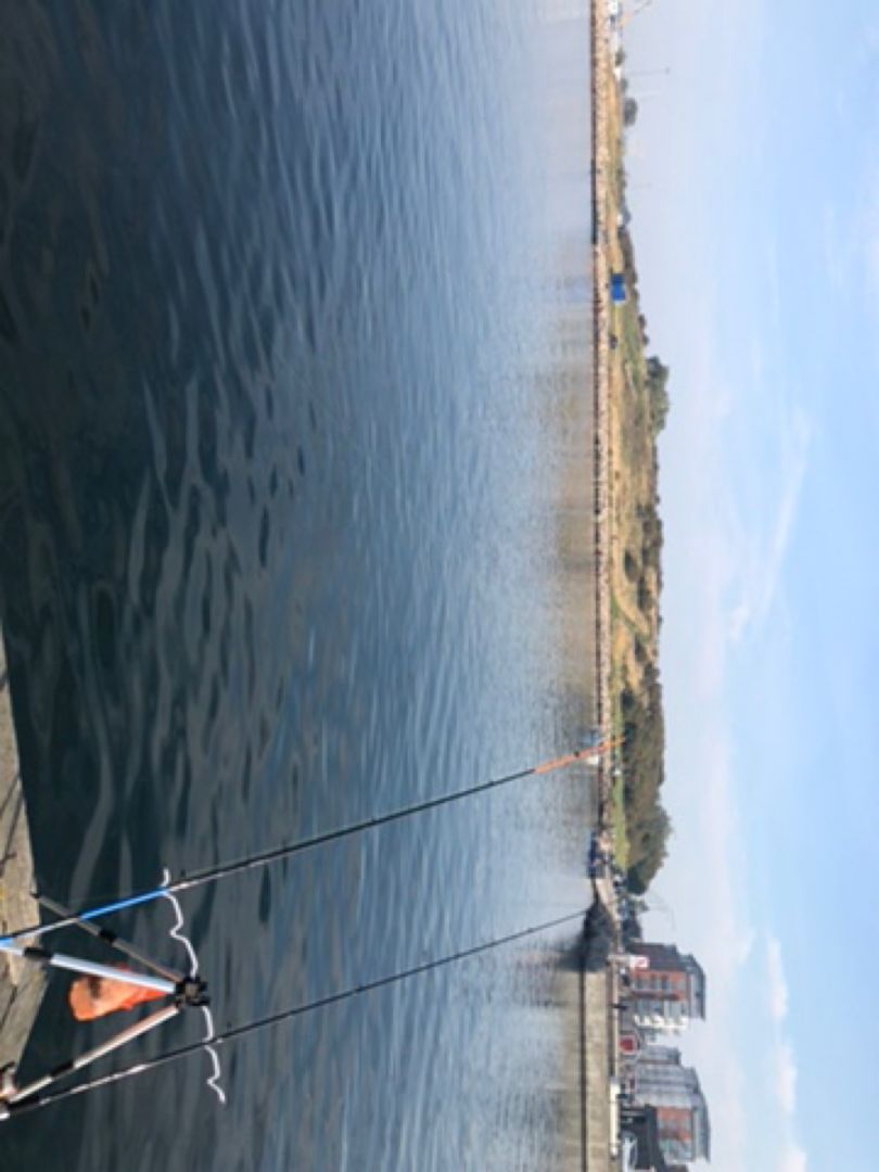 Ostsee (Malmö) angeln