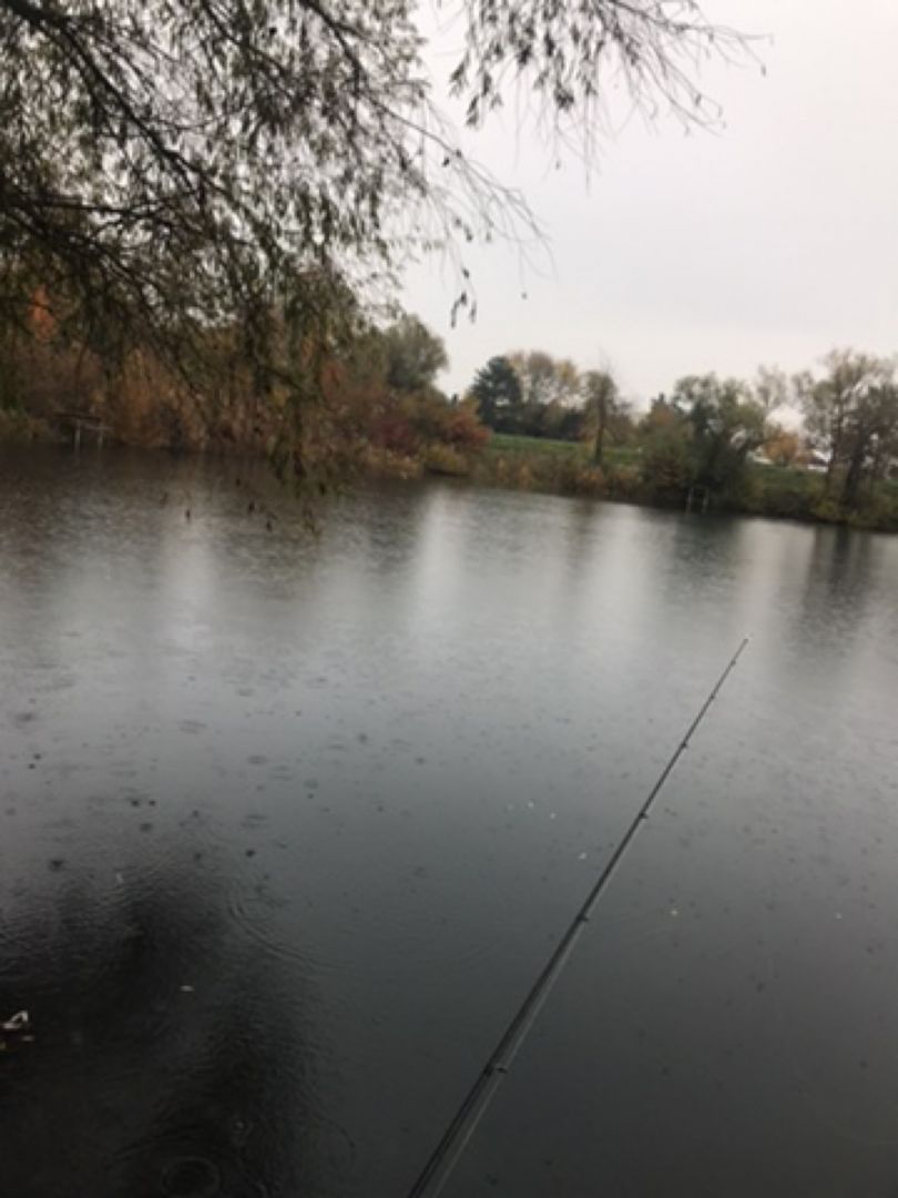 Badesee Gernsheim angeln