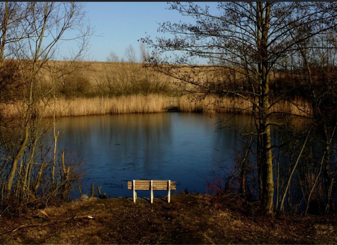Regenrückhaltebecken Fünfeichen angeln
