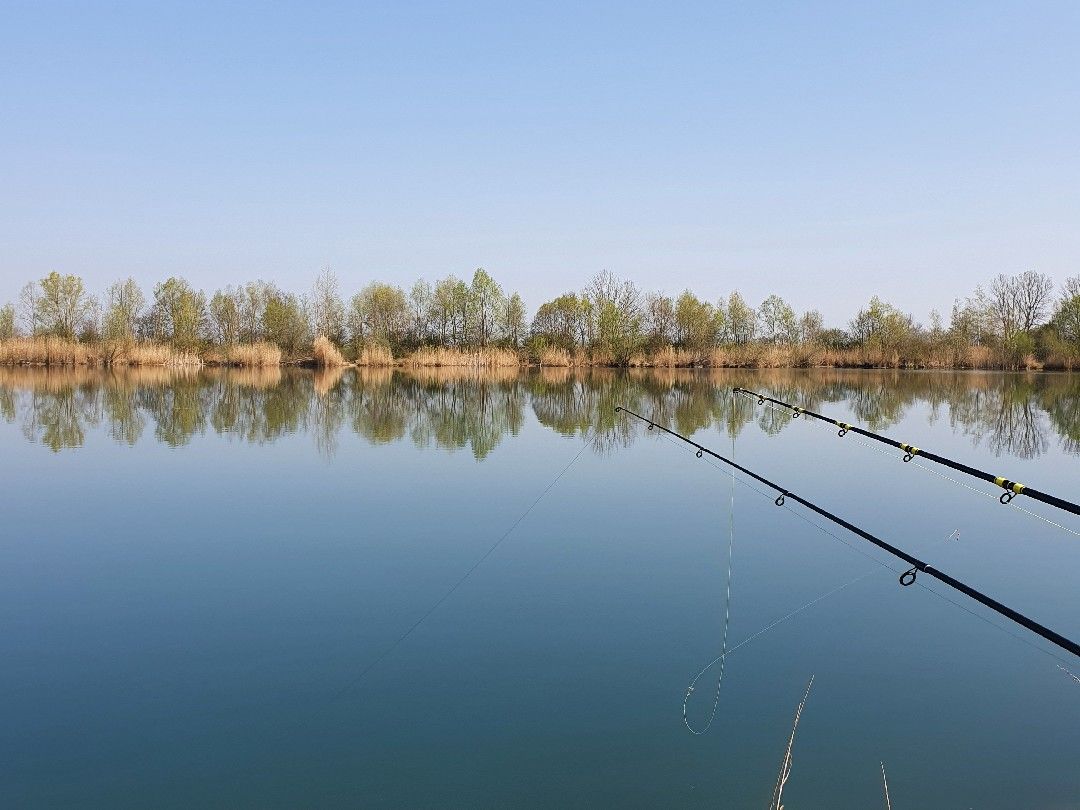 Gutbrod Weiher (FV Eitting) angeln