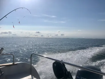 Ostsee (Fehmarn-Westermarkelsdorf)
