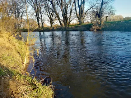 Weiße Elster (Zeitz)