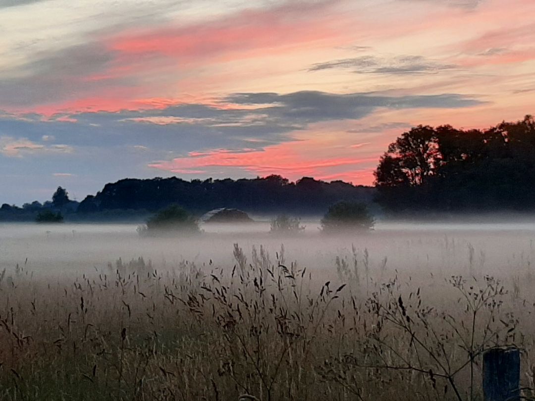 Angeln in Goldenstedt