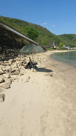 Rhein (Loreley)