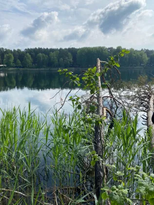Ruhlesee