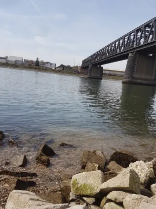 Rhein (Worms)