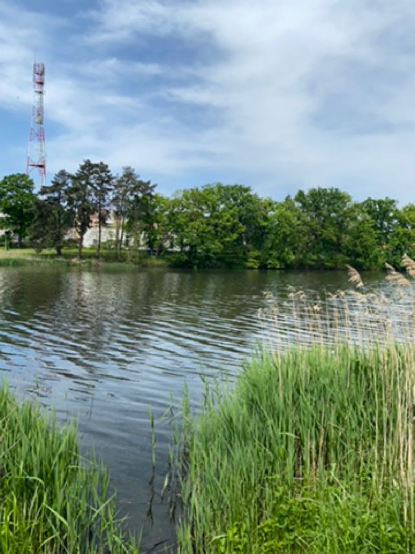 Lac de Creutzwald angeln