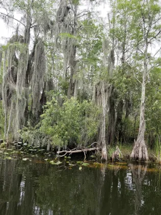 Tamiami River & Canal