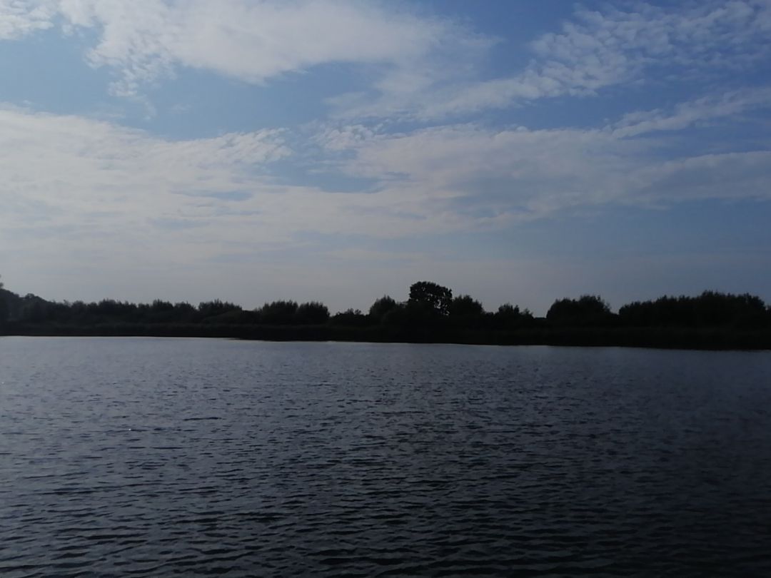 Schwarzer See (Ganschendorf) angeln