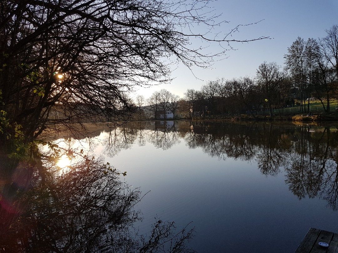 Berghäuser Weiher angeln