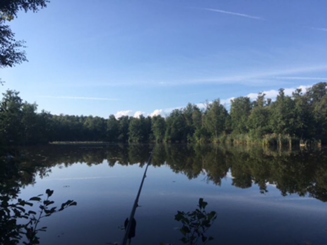 Stietensee (Briesen) angeln