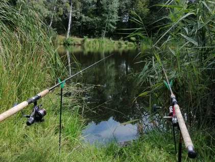 Tongrube an den Eichen (Leisenau)