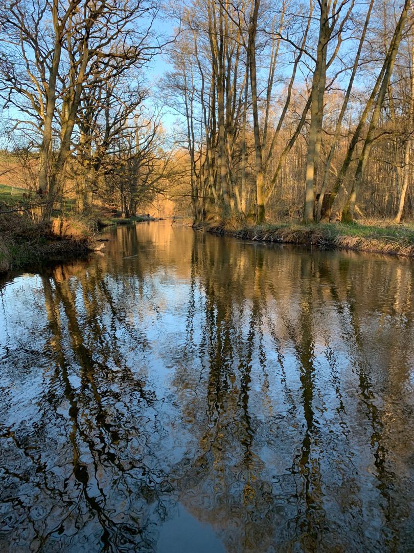 Warnow (Sternberg) angeln