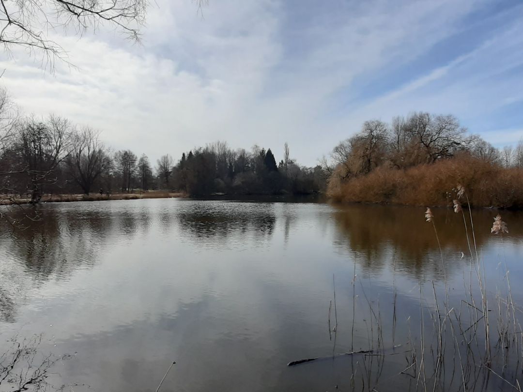 Moorwischparkseen (Bad Schwartau) angeln