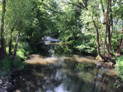 Kyll (Stadtkyll)