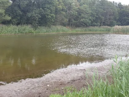 Lübser See