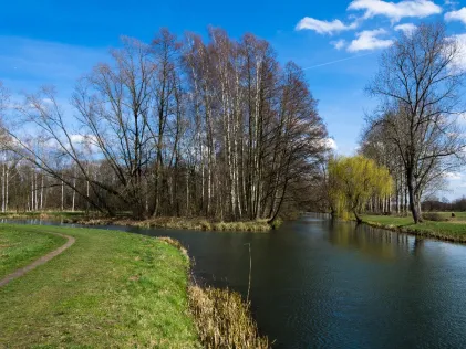Spree (Burg/Spreewald)