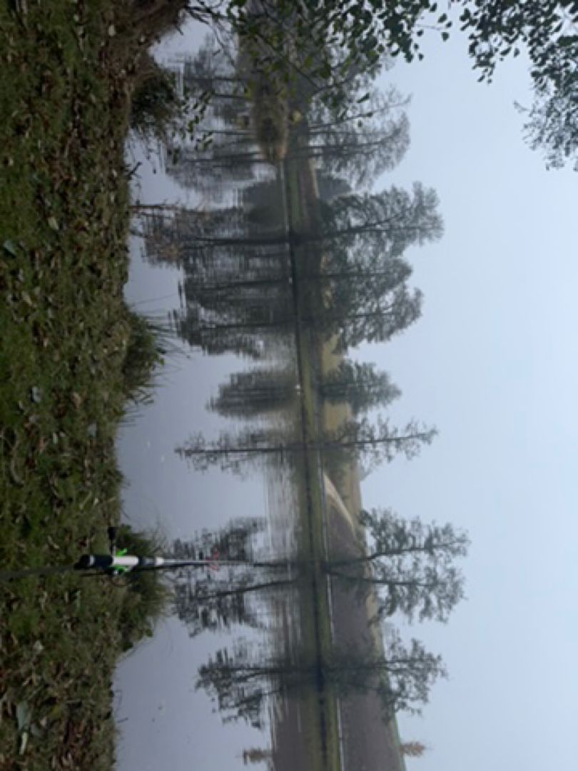Nicklweiher (Ebnath) angeln