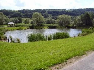 Vereinsteich AV Pferdsdorf