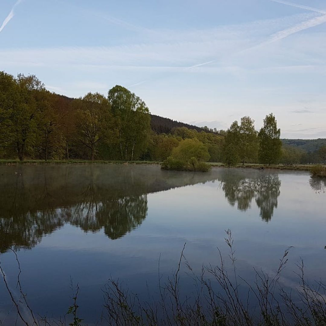 Keßpfuhlteich (Gottsbüren) angeln