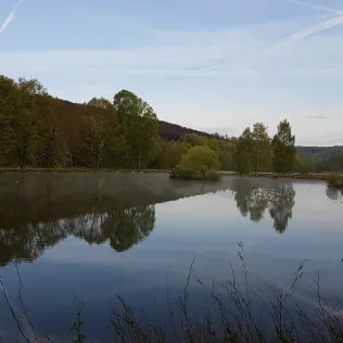 Keßpfuhlteich (Gottsbüren)