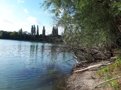 Diersfordter Waldsee