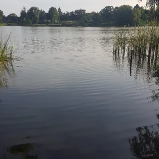 Kleiner Pönitzer See