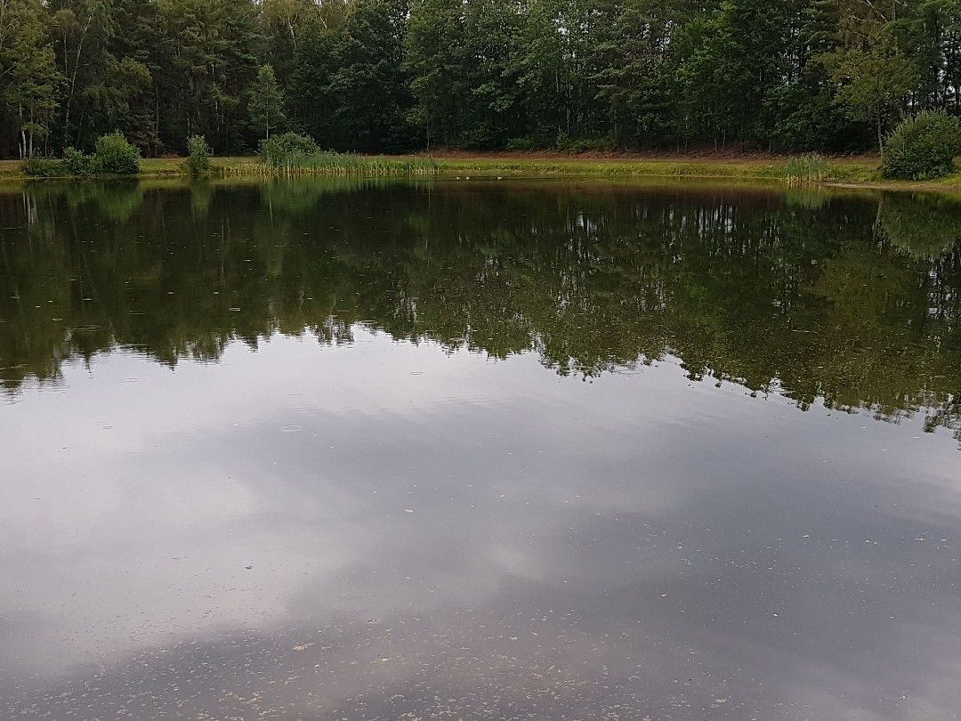 Larbergsee angeln