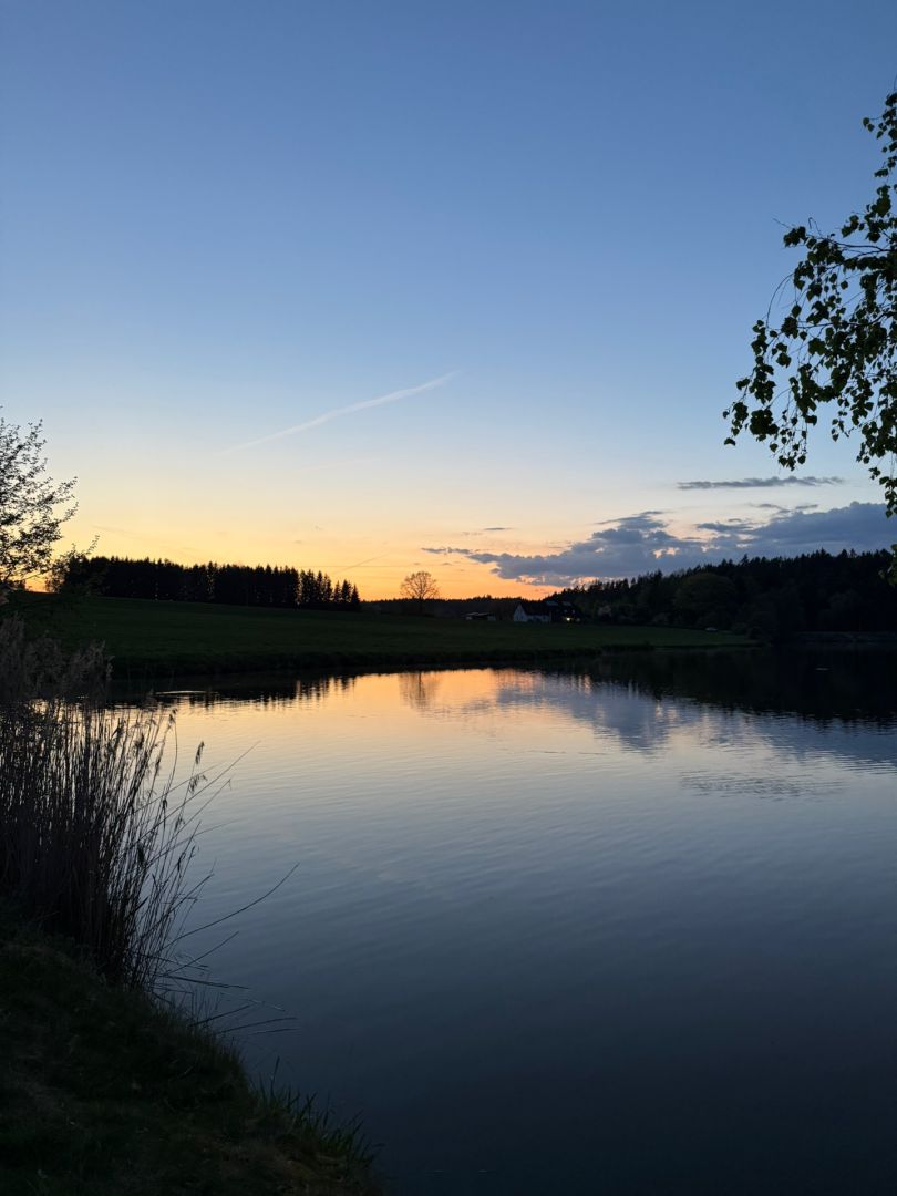 Rothenbürger Weiher angeln