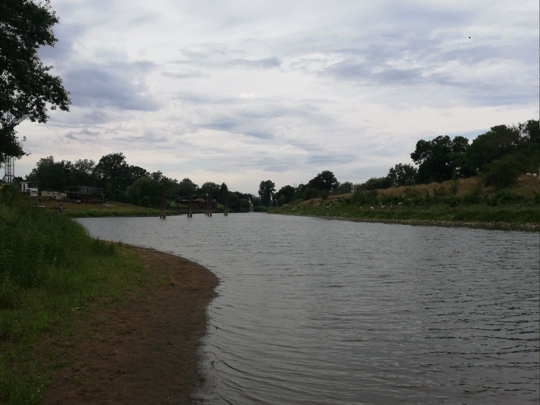 Hornhafen (Aken) angeln