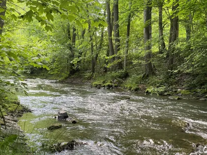 Große Mittweida