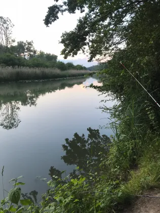 Alte Donau (Ingolstadt)