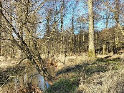 Delme (Harpstedt)