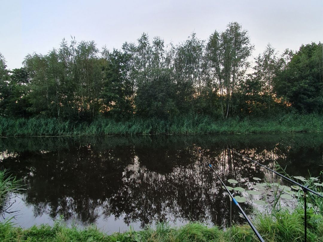 Ommerkanaal angeln