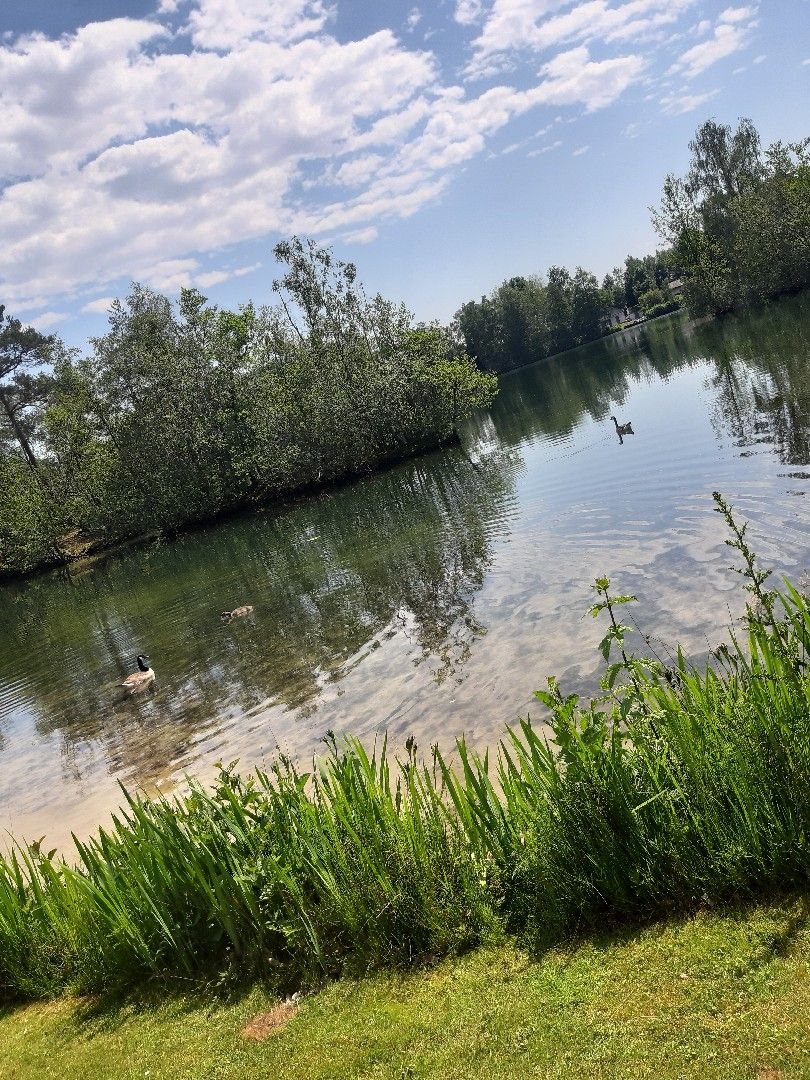 Blauer See (Lünne) angeln