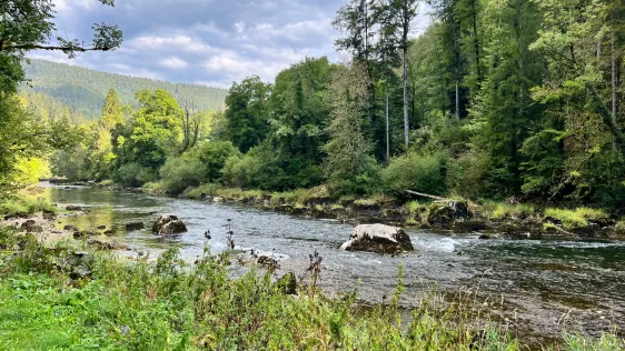 Doubs (Goumois)