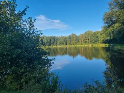 Rehersteiche (Hademarschen)